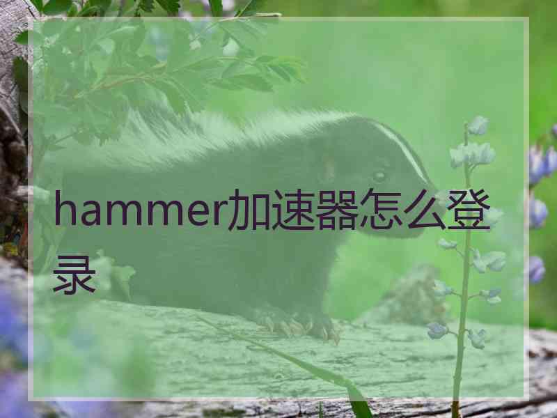 hammer加速器怎么登录