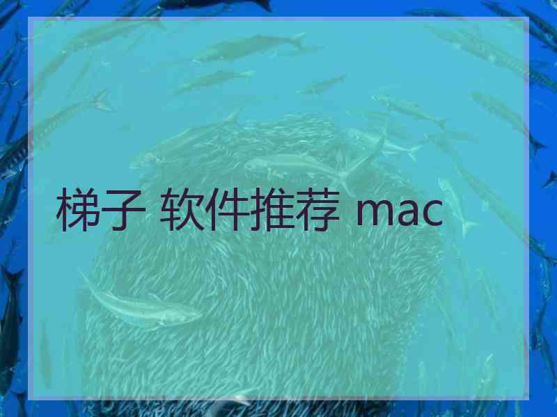 梯子 软件推荐 mac