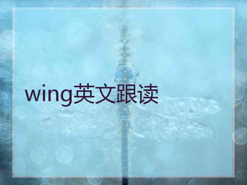 wing英文跟读