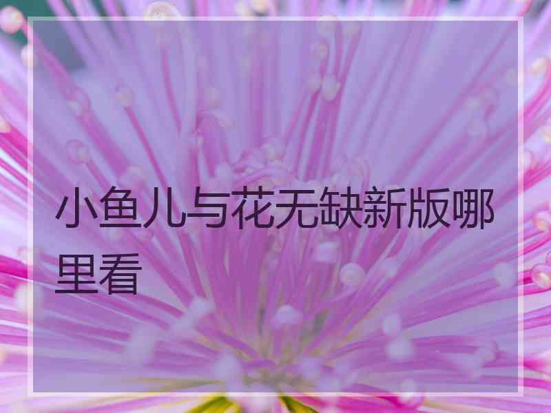 小鱼儿与花无缺新版哪里看