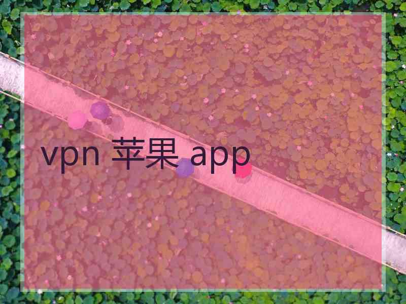 vpn 苹果 app