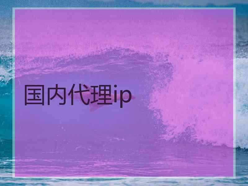 国内代理ip