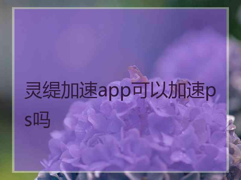 灵缇加速app可以加速ps吗