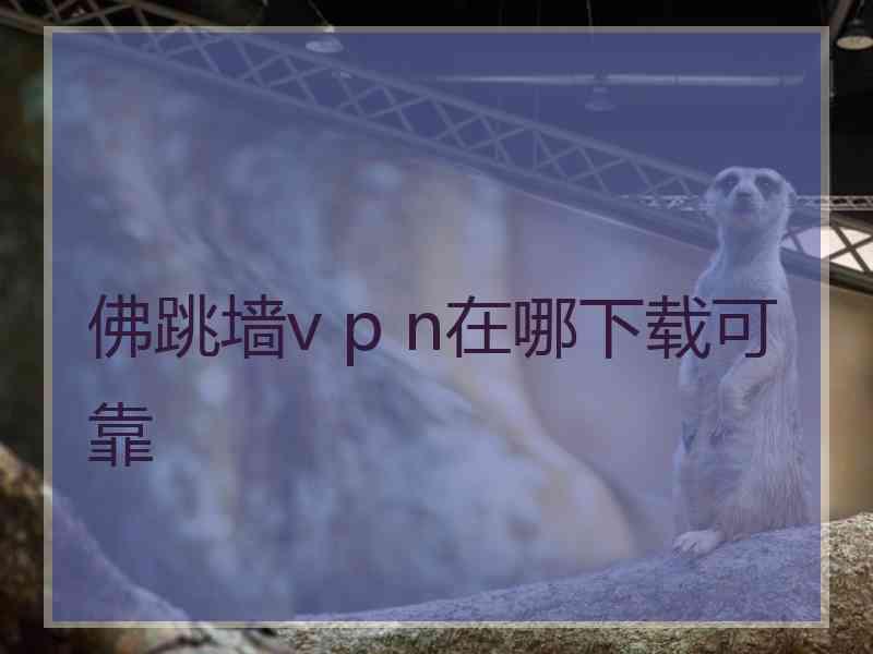 佛跳墙v p n在哪下载可靠