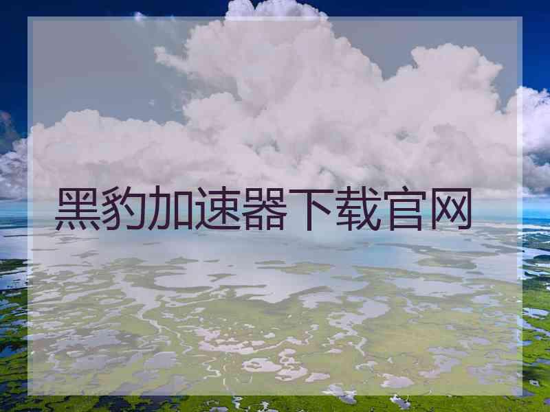 黑豹加速器下载官网