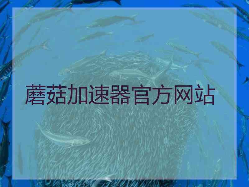 蘑菇加速器官方网站