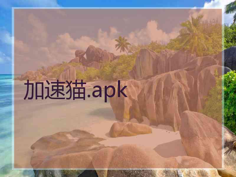 加速猫.apk