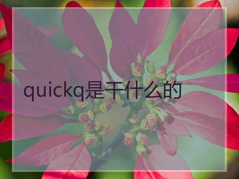 quickq是干什么的