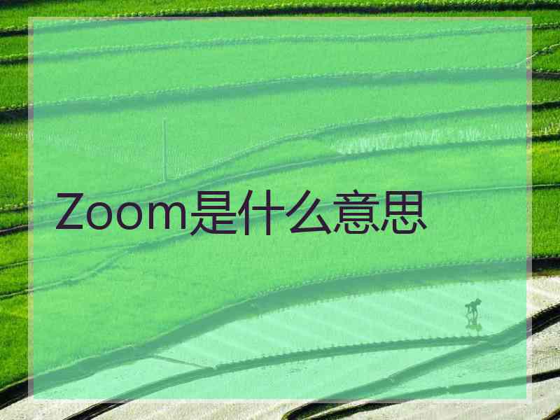 Zoom是什么意思