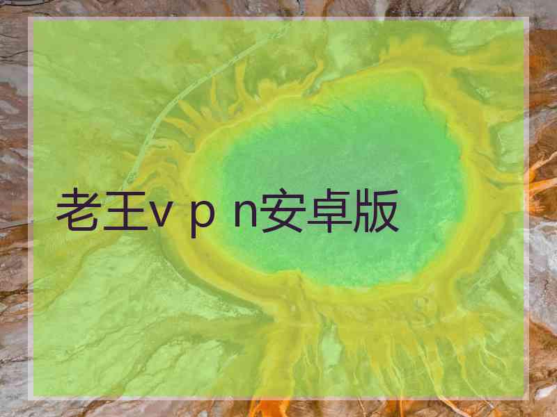 老王v p n安卓版