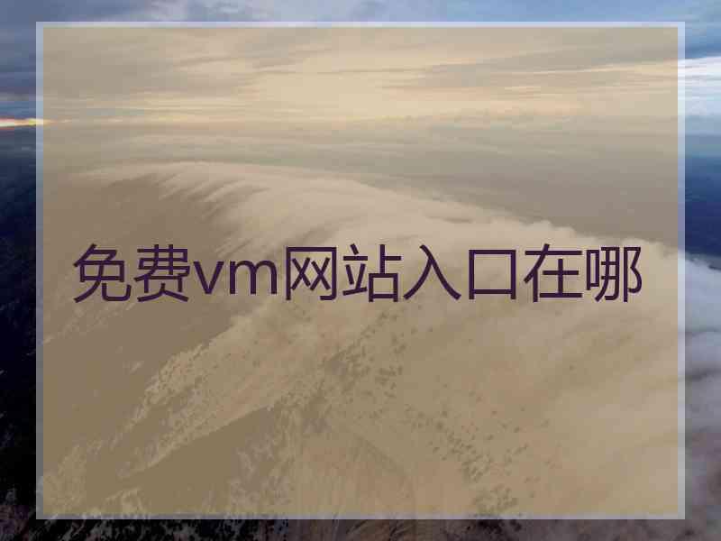 免费vm网站入口在哪