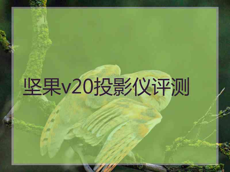 坚果v20投影仪评测