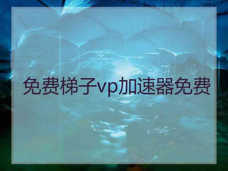 免费梯子vp加速器免费