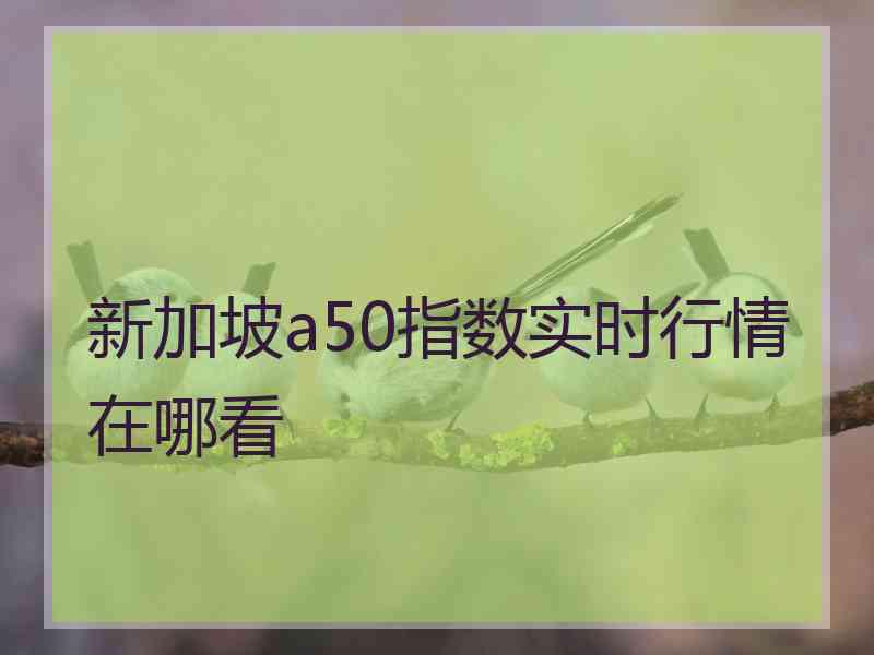 新加坡a50指数实时行情在哪看