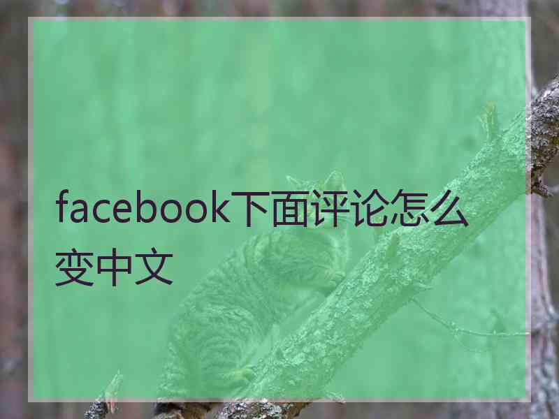 facebook下面评论怎么变中文