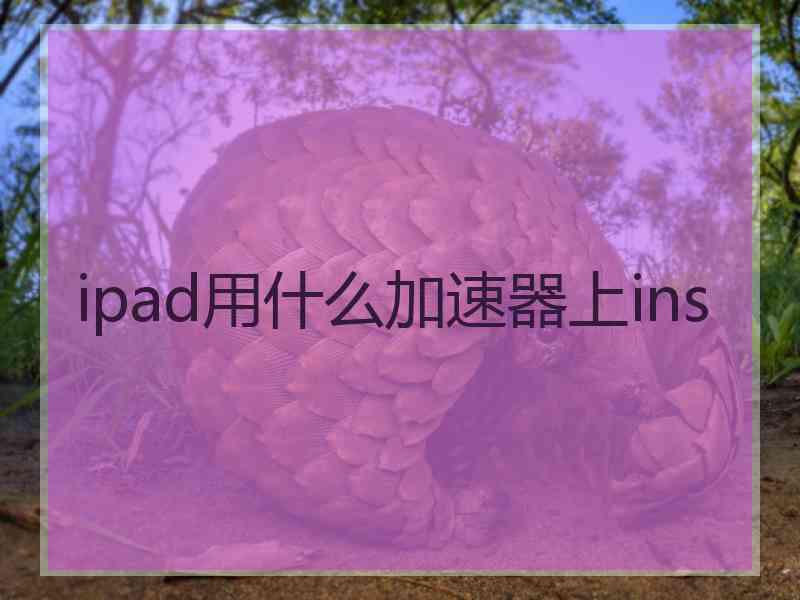 ipad用什么加速器上ins