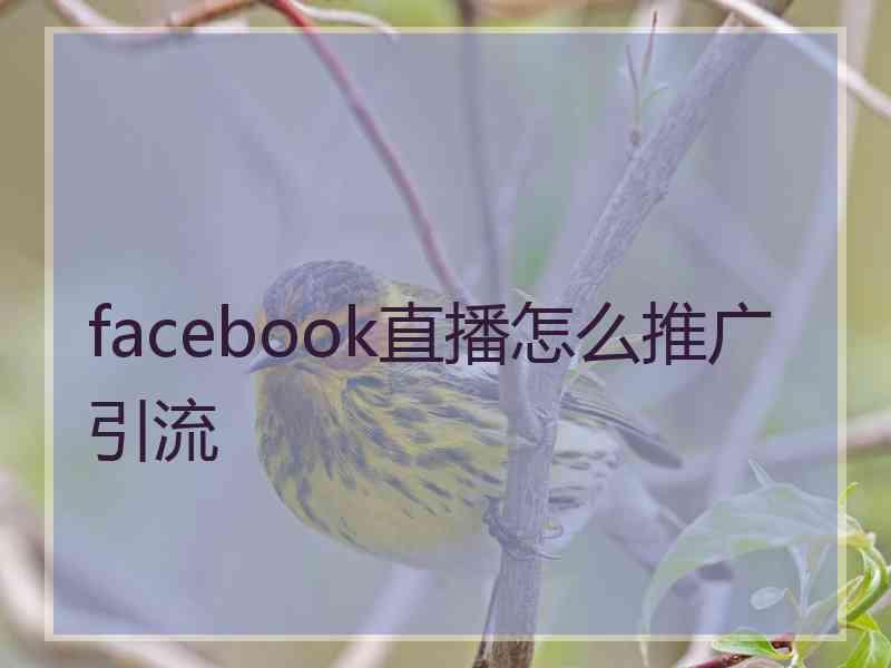 facebook直播怎么推广引流