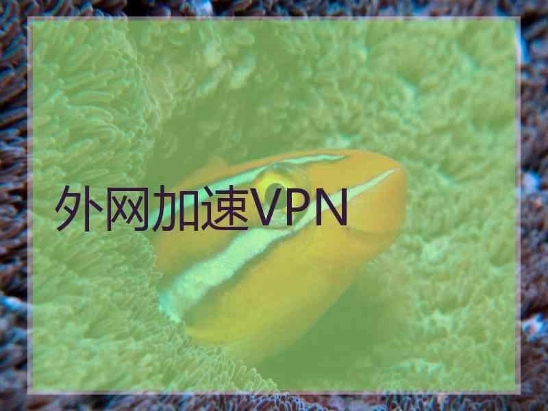 外网加速VPN