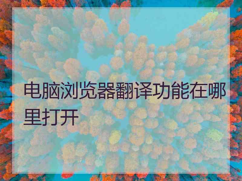 电脑浏览器翻译功能在哪里打开