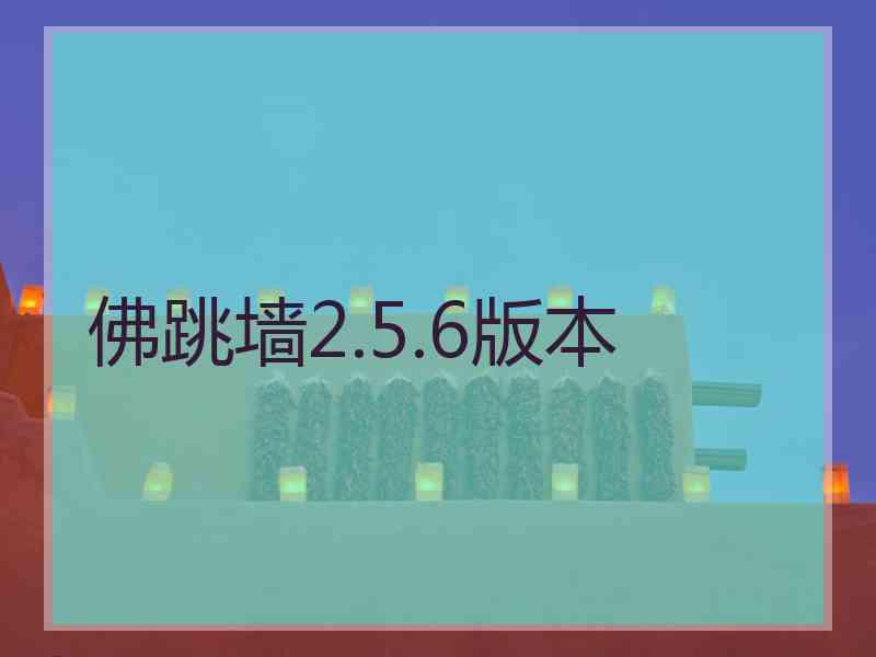 佛跳墙2.5.6版本