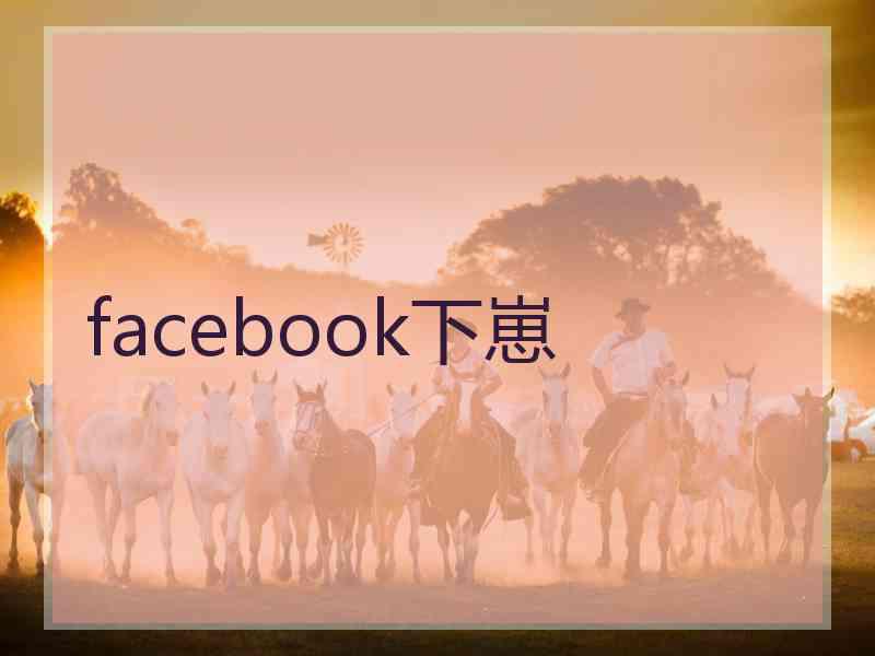 facebook下崽