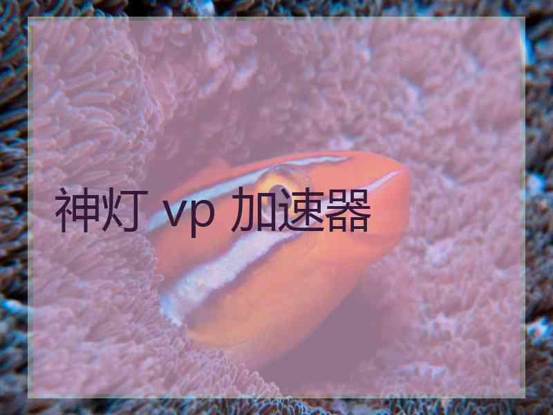 神灯 vp 加速器