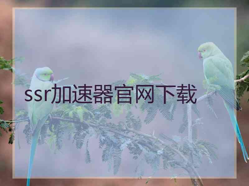 ssr加速器官网下载