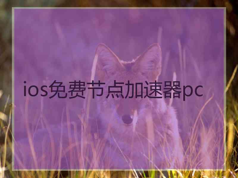 ios免费节点加速器pc