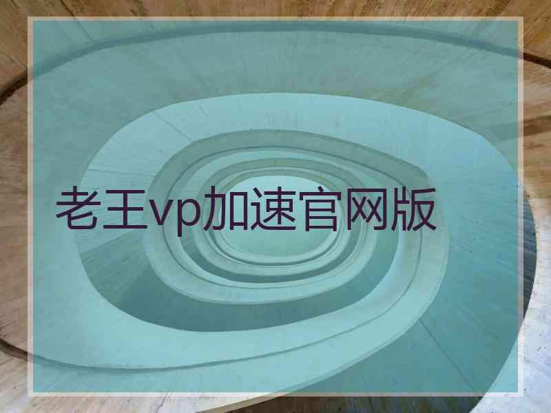 老王vp加速官网版