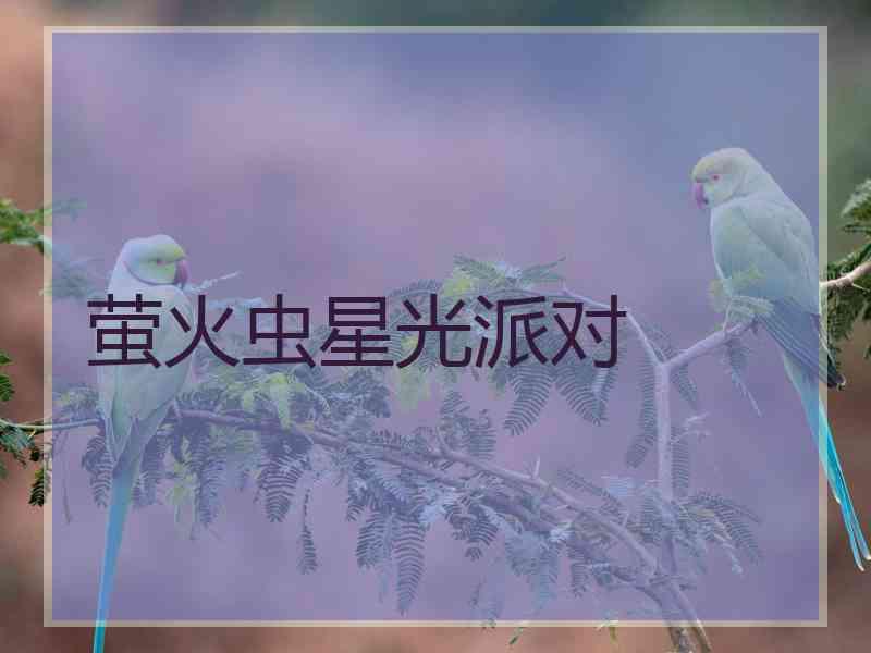 萤火虫星光派对