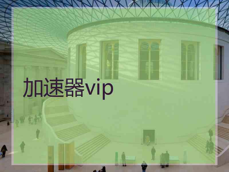 加速器vip