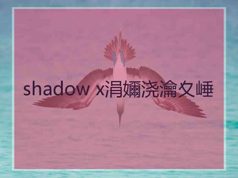 shadow x涓嬭浇瀹夊崜