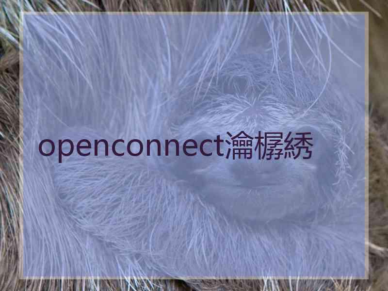 openconnect瀹樼綉