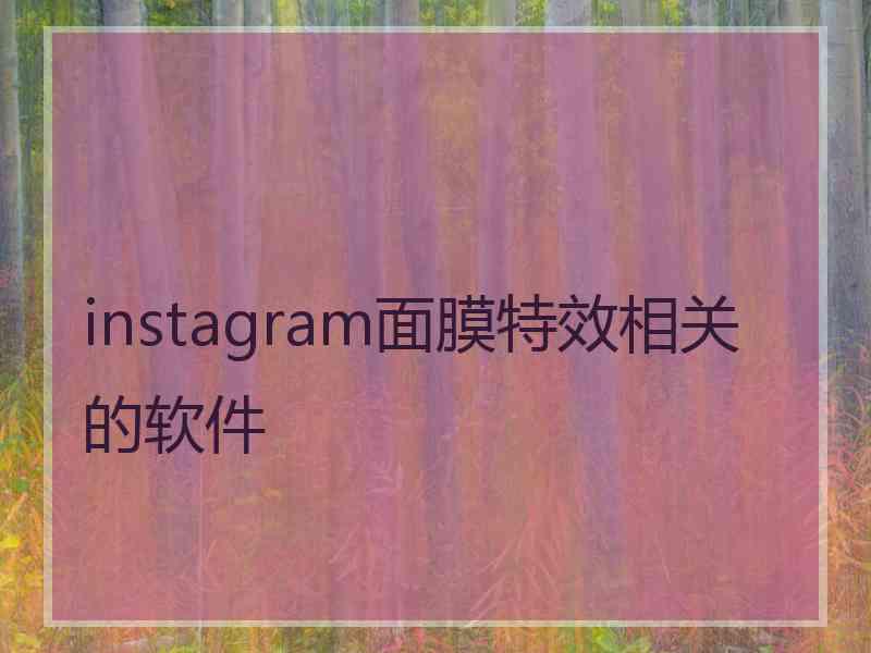 instagram面膜特效相关的软件