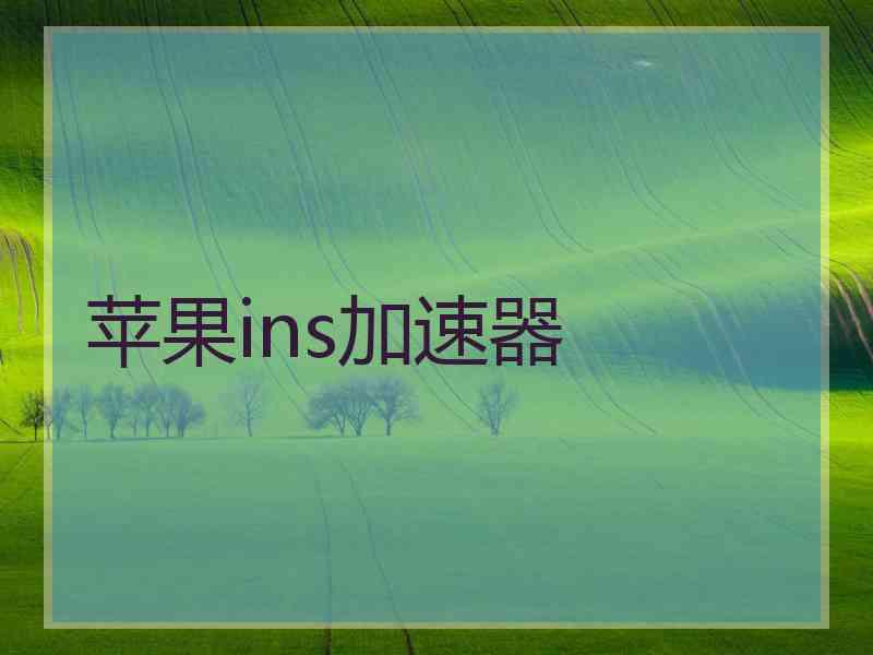 苹果ins加速器