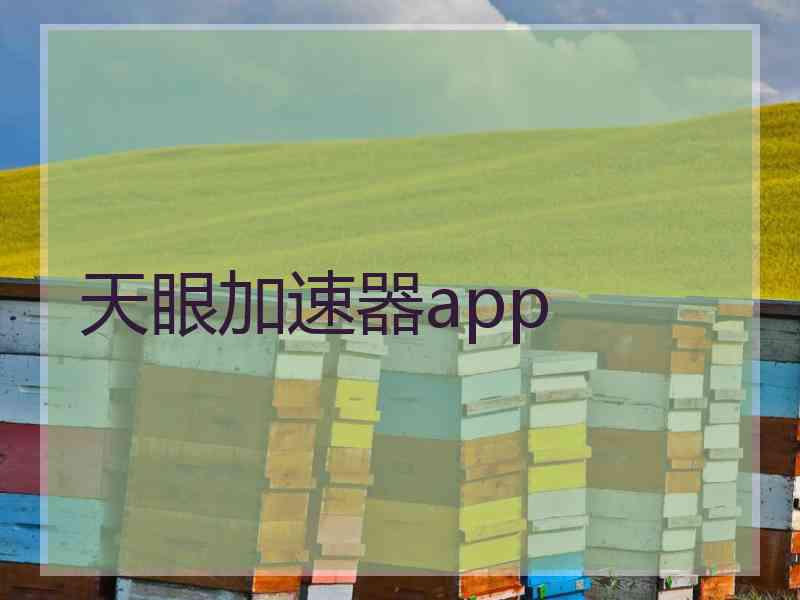 天眼加速器app