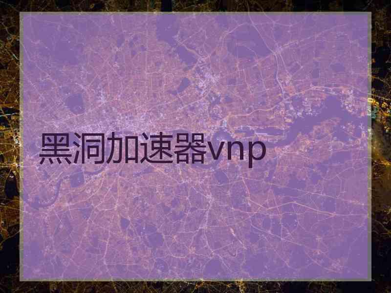 黑洞加速器vnp