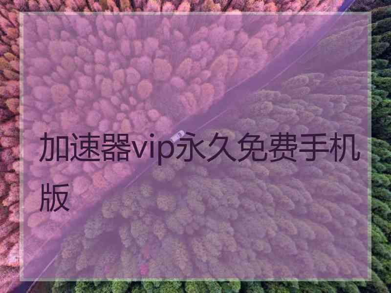 加速器vip永久免费手机版