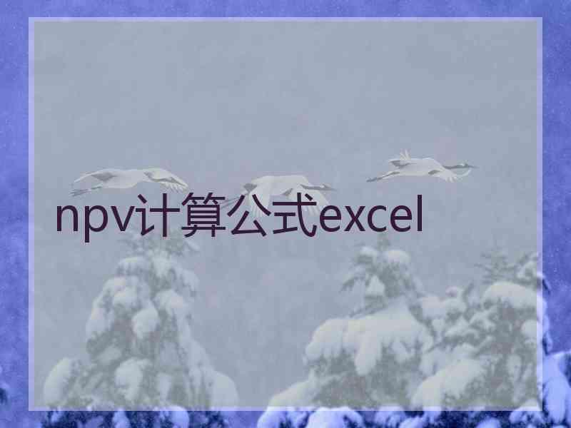 npv计算公式excel