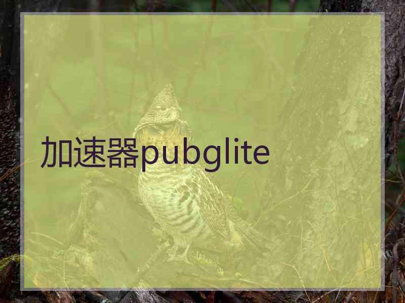 加速器pubglite