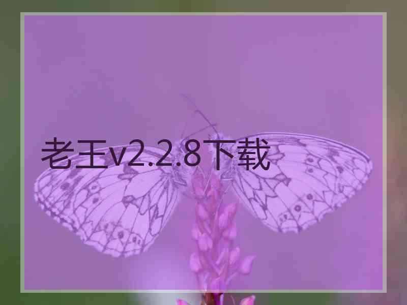 老王v2.2.8下载