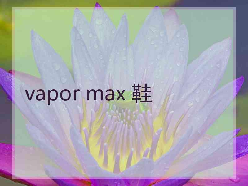 vapor max 鞋