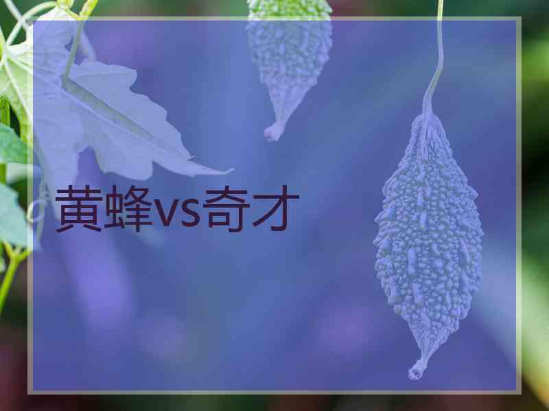 黄蜂vs奇才