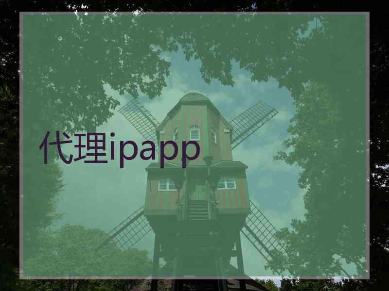 代理ipapp