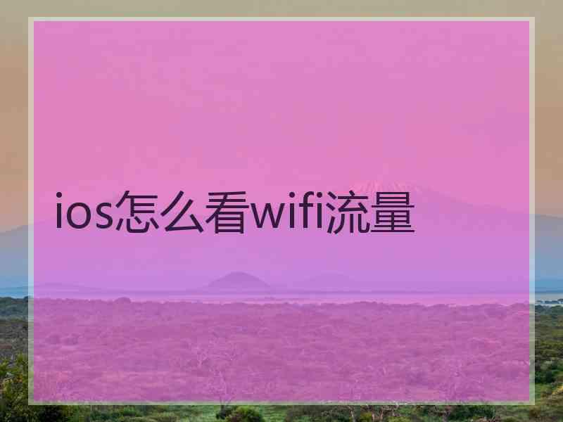 ios怎么看wifi流量