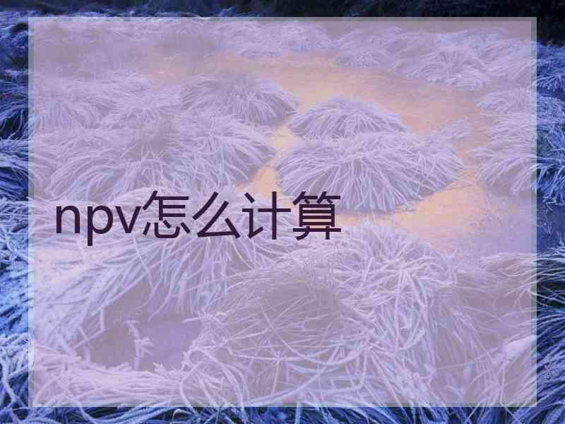 npv怎么计算