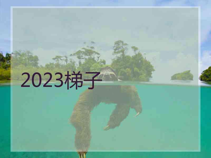 2023梯子