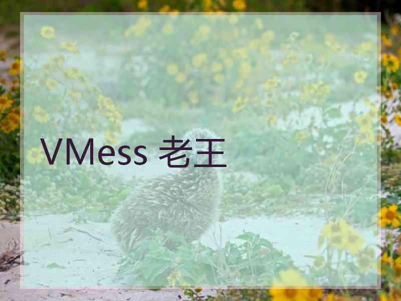 VMess 老王