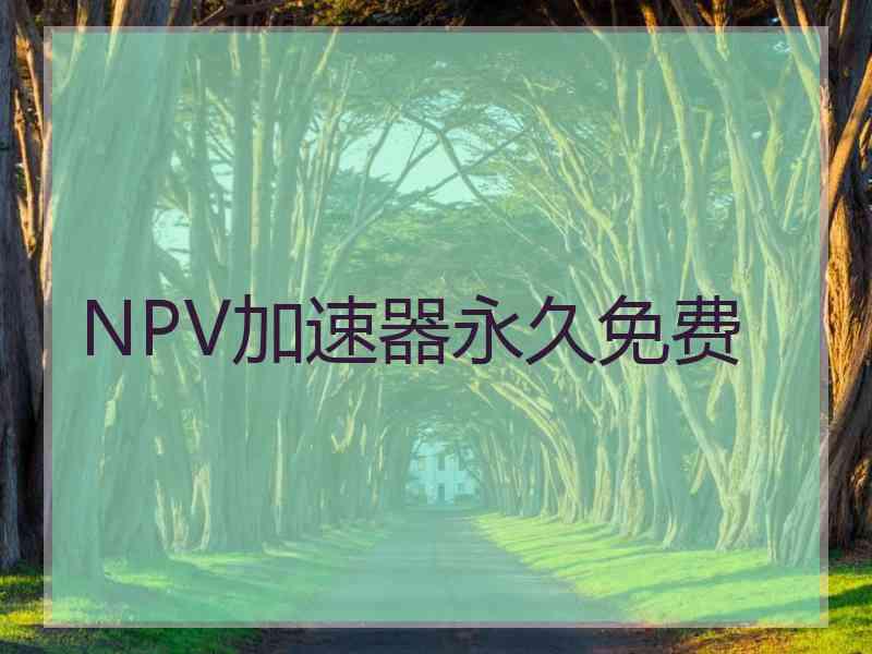 NPV加速器永久免费