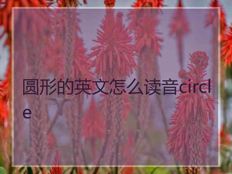 圆形的英文怎么读音circle